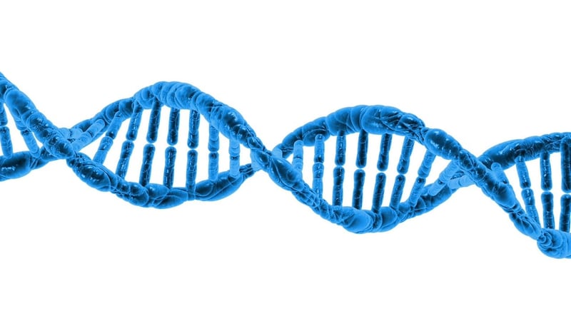 DNA Image